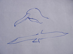 Drawing of seagulls