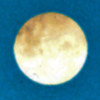 Desierto florido moon