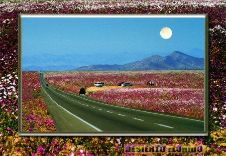 San Pedro de Atacama postcard